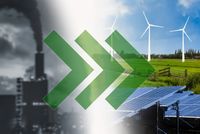 shutterstock_2379476341