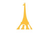 Questionnaire Logo Ziraffe