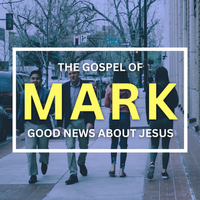 2025 Mark graphic square