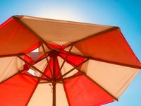 umbrella