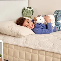 Kids & Baby - Bedding Module - Kids Pillow