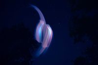 The Great Magic AI in the Sky - Horizontal