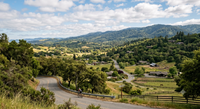 portola valley