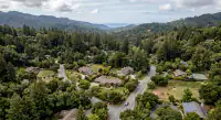 los altos hills ai