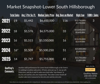 LowerSouth2025MrktSnapshot