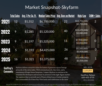 SkyfarmMarketSnapshot2025