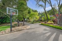 42 - 167 - 5 Springhill Manor Basket court