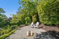 38 - 390 Castello Road - Backyard with trees and 2 chairs