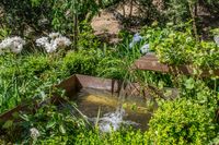 46 - 72 Davis Road - Garden pond