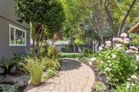 14 - 1245 Rimer Drive - Outdoor pathway with trees