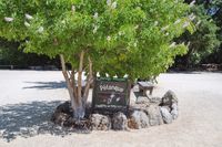 039 - 3190 Bavarian Lane - Tree with a Petanque sign