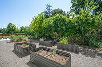 38 - 3108 Del Oceano Drive - Garden area with plantrs and trees