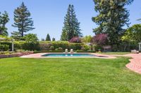 12 - 31 Old Millstone Lane - Lawn and swimming pool
