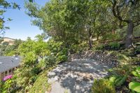 46 - 3815 Palo Alto Drive - Terraced garden area with a gravel pad, surrounded by  trees and a stone retaining wall