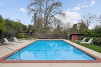 31 _ 849 Sibert Court _ Rectangular outdoor swimming pool with lounge chairs on both sides, surrounded by trees and a wooden fence under a blue sky