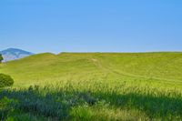 39 _ 665 Sky Hy Circle _ Rolling grassy hillside with walking path and mountain backdrop under open sky