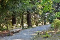 40 _ 665 Sky Hy Circle _ Gravel walking path with bench seating surrounded by mature trees and landscaped greenery