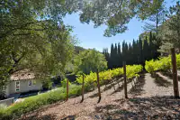 42 _ 31 Sandy Court _ Private vineyard with scenic hillside views
