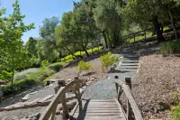 44 _ 31 Sandy Court _ Garden pathway with wooden bridge and steps