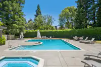 34 - 574 Monarch Ridge Drive - pool and spa with expansive sun deck and lounge seating