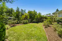 7 _ backyard-rose-garden-lawn-and-trees