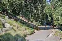 29 _ community-walking-trail-hillside-landscaping