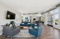 31 _ community-lounge-sofas-chairs-tv