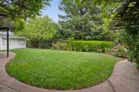 17 _ 808 Rosedale - Lush backyard with a large lawn, mature trees, garden beds, and curved walkways
