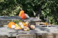 18 _ 1751 Reliez Valley Road _ Outdoor kitchen