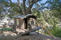 44 _ 1751 Reliez Valley Road _ Elevated treehouse with wood deck, surrounding mature trees, and slide