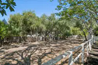39 _ 3336 Las Huertas _ Backyard Fenced yard with trees