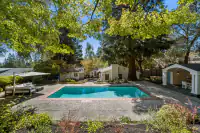 3 _ 4022 Happy Valley Road _ Backyard with swimming pool, patio, and surrounding trees