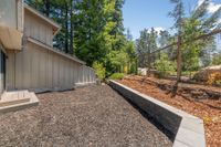 Backyard 1