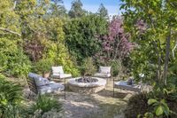 Firepit daytime with flower behind