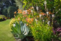 Flowers in garden
