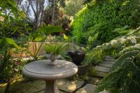 Lush garden picture