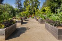 Raised flower beds