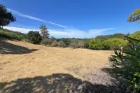 View from driveway to front yard