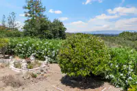 View from fornt door entry - Left