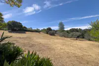View from gate towards the house