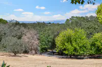 View from top of driveway - Left