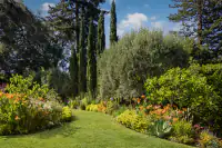 5.-Why-Atherton-Has-No-Commercial-Downtown-2