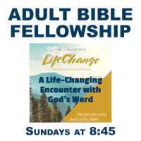 ABF Life Change SQ