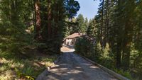 ReidsLongDriveway3K