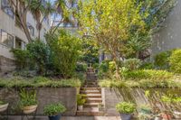 2990 Jackson Street 5