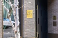 288 Pacific Ave 4A 6