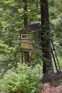 380 Larch Road 17