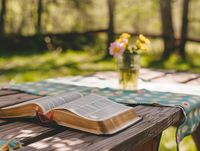 Bible picnic