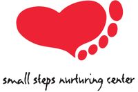 Small Steps High Res logo